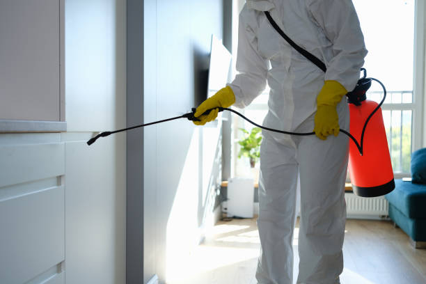 Mold Remediation for Rental Properties in River Hills, WI